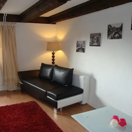 New ! Vue Petite Venise-place To Be - Parking * コルマール