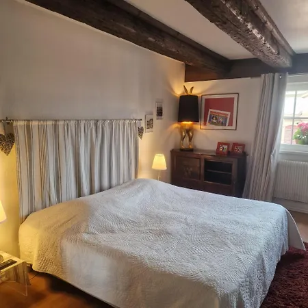 Apartman New ! Vue Petite Venise-place To Be - Parking Colmar