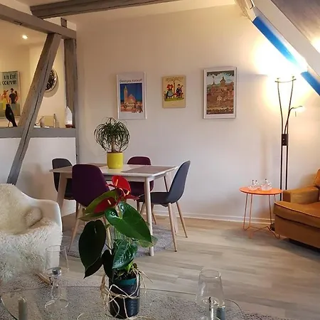 Apartman New ! Vue Petite Venise-place To Be - Parking Colmar