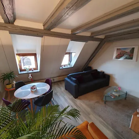 New ! Vue Petite Venise-place To Be - Parking コルマール