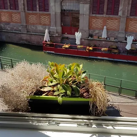 New ! Vue Petite Venise-place To Be - Parking Colmar